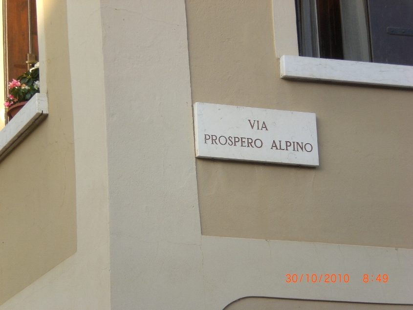 Prospero Alpini's home - 03.JPG